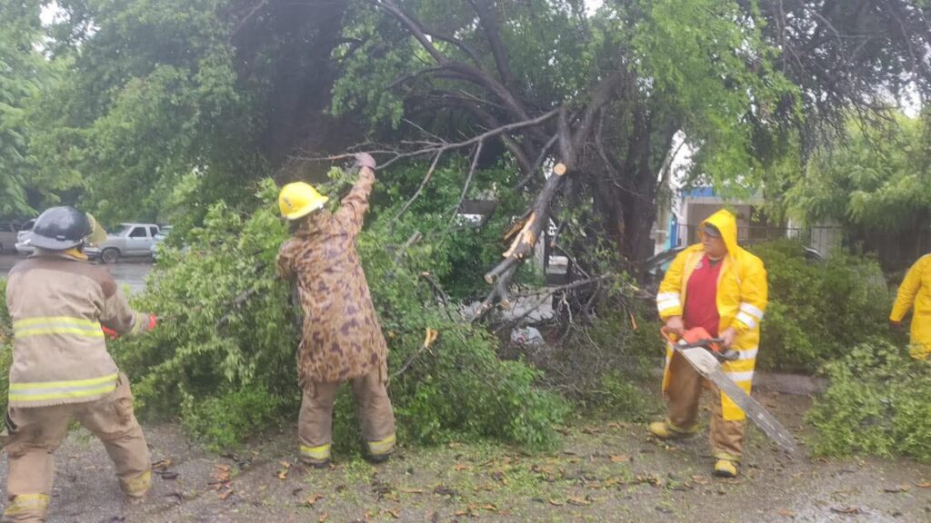 Rachas de hasta 60 km/h causan daños en distintos sectores de la capital